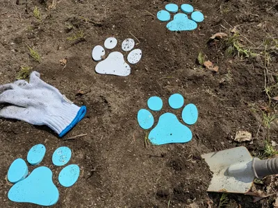 Decorative Paw foot Print Garden Stone