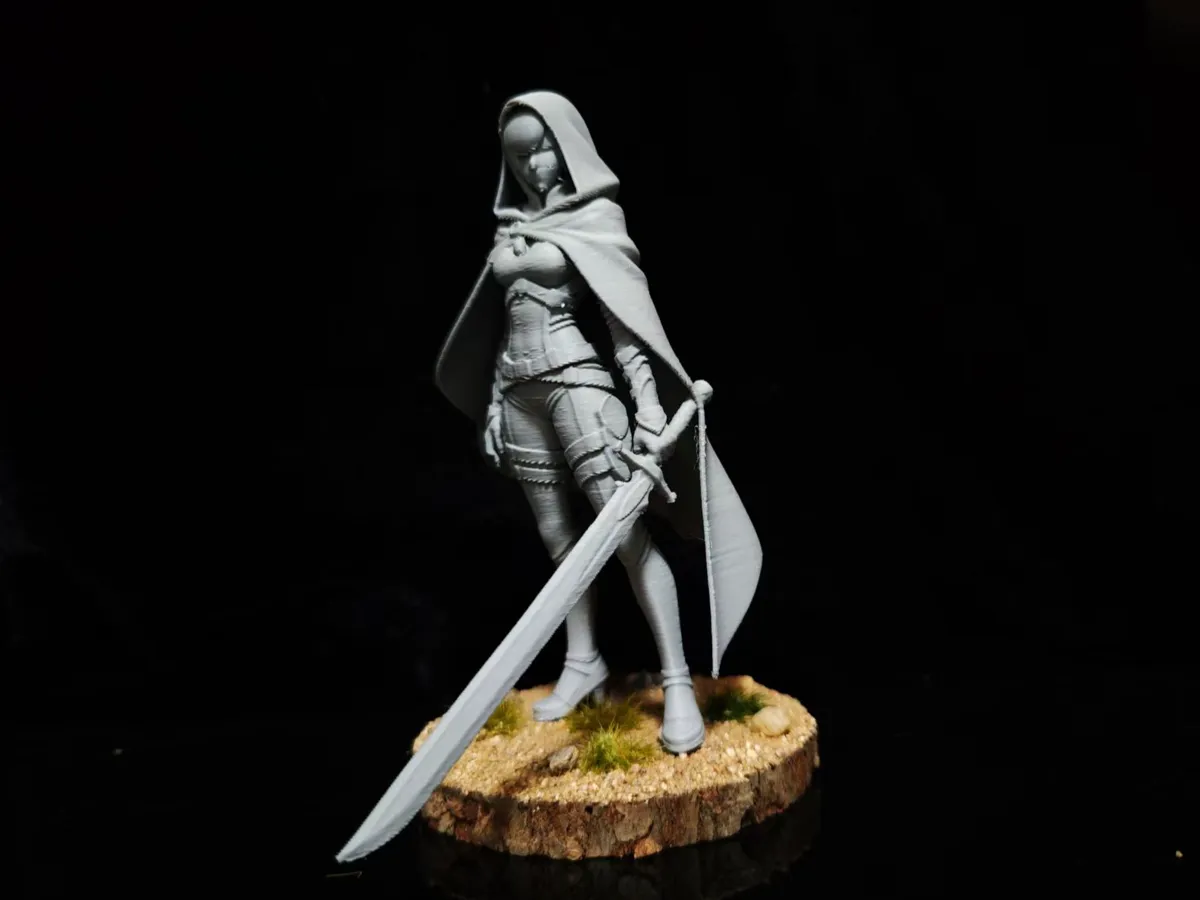 Assassin Models Female Assassin - Free 3D Print Model - MakerWorld