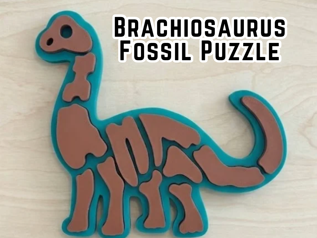 Brachiosaurus Fossil Puzzle