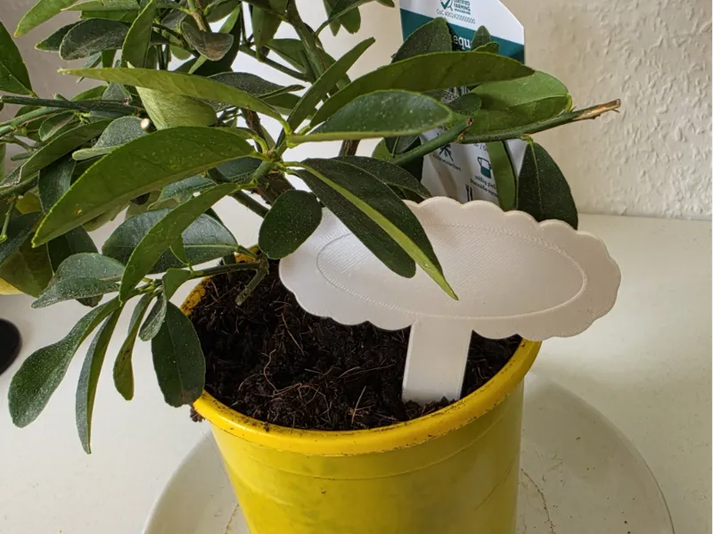 Cloudy Plant Sign | Pflanzschild in Wolken Form
