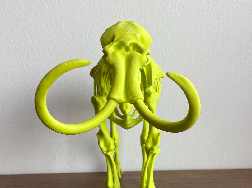 Mamut Lanudo