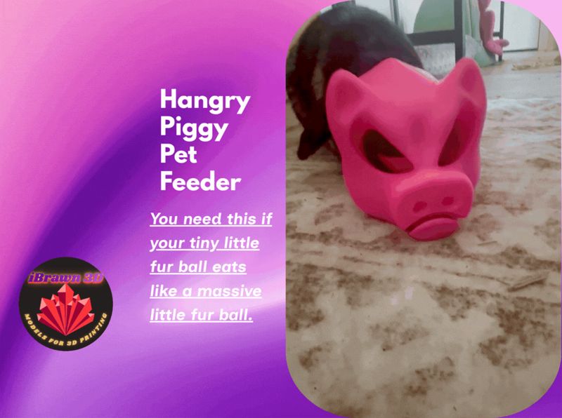 Hangry Piggy pet feeder