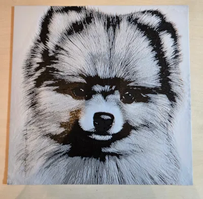 Hueforge Pomeranian Dog