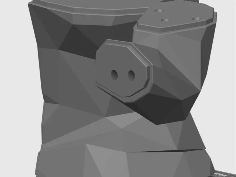 left torso