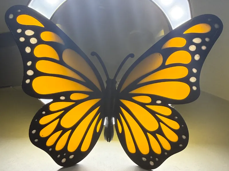 Butterfly
