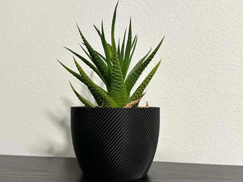 Flowerpot