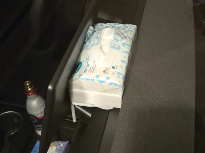 Tesla Model 3 Behind-Screen Tissue Box Holder