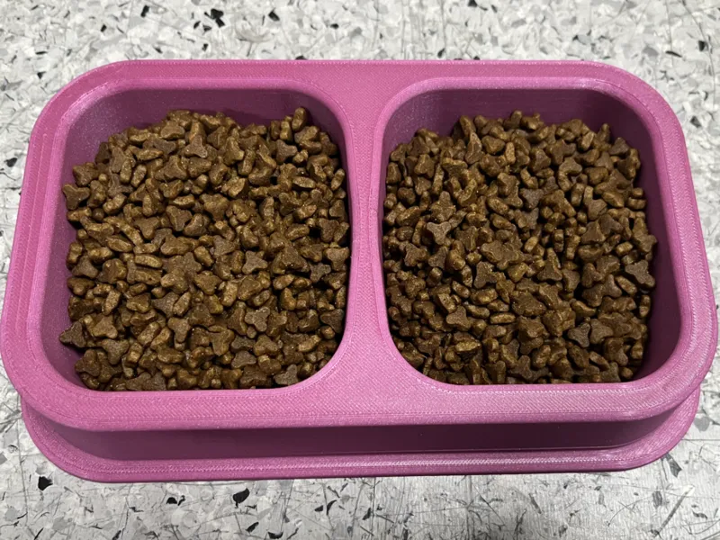 PawDuo – Dual Cat Bowl