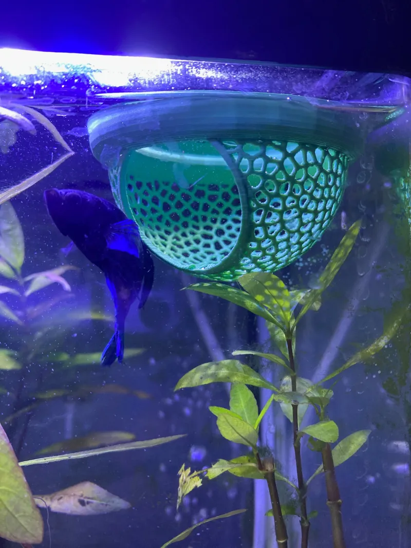 Floating Aquarium Hide