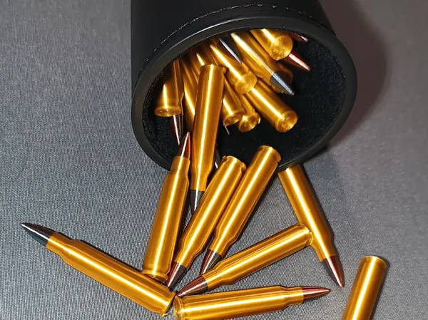 https://makerworld.bblmw.com/makerworld/model/USa08438bfec8b82/design/2024-09-05_e67ca2d1d4284.jpg
