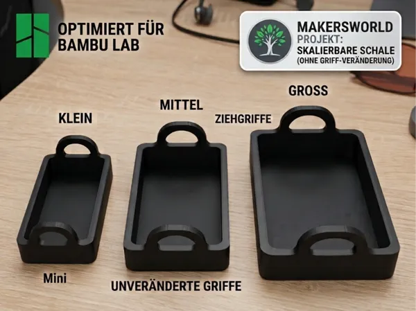 https://makerworld.bblmw.com/makerworld/model/USa086f28a041380/design/768e1ecaa19d770d.png