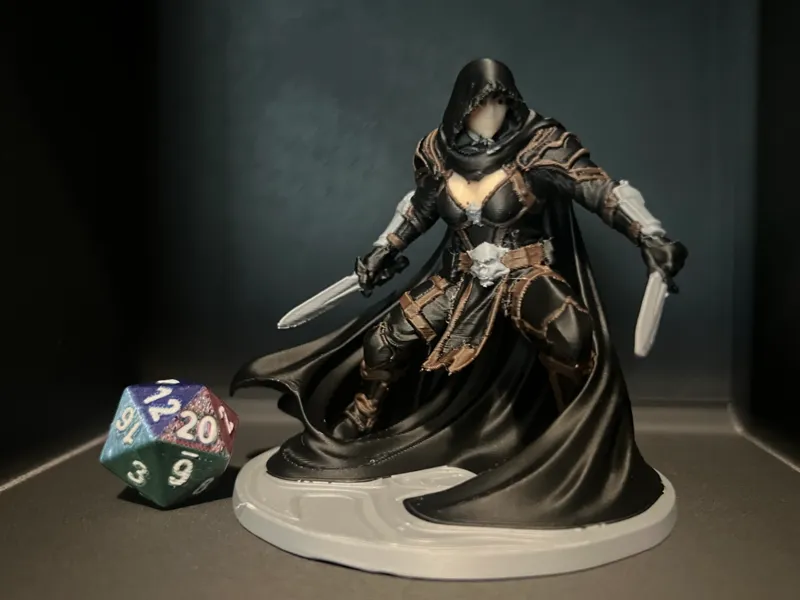 D&D-Assassin/Meuchelmörderin (Mehrfarbig)