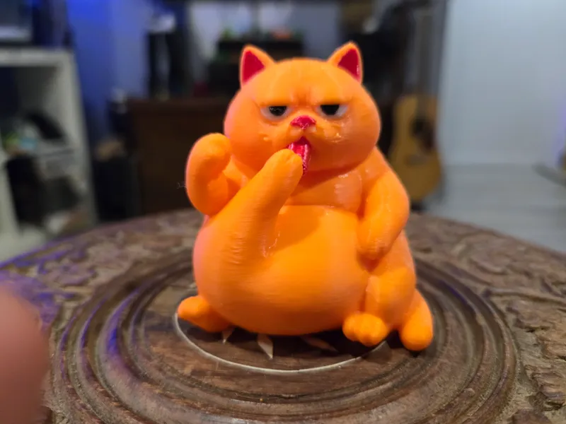 Five Legged Cat?