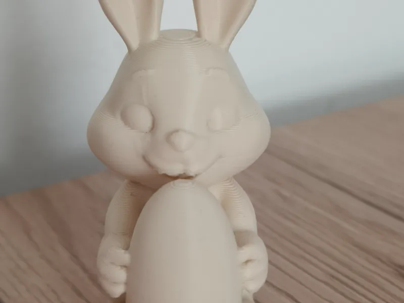 Cute Bunny Holding an Egg
