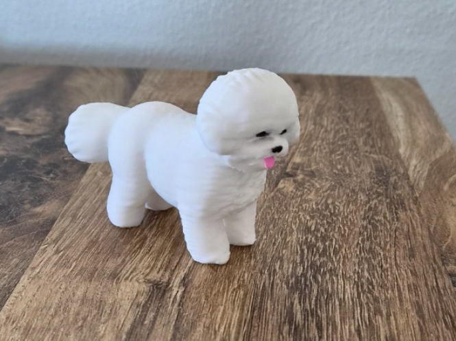 Bichon Frise Dog