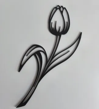 Tulpe