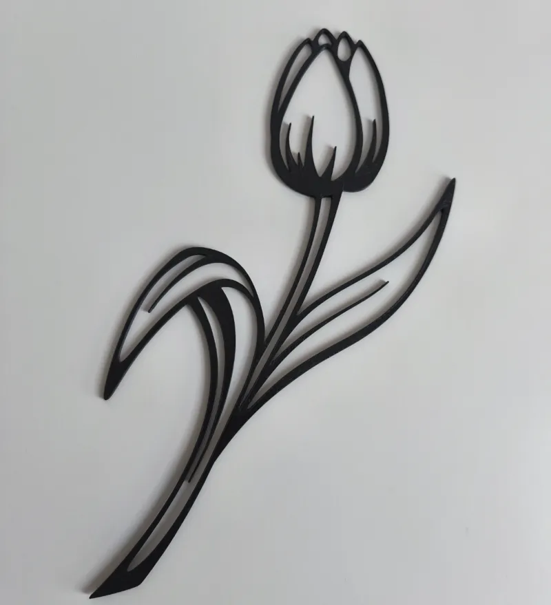 Tulpe