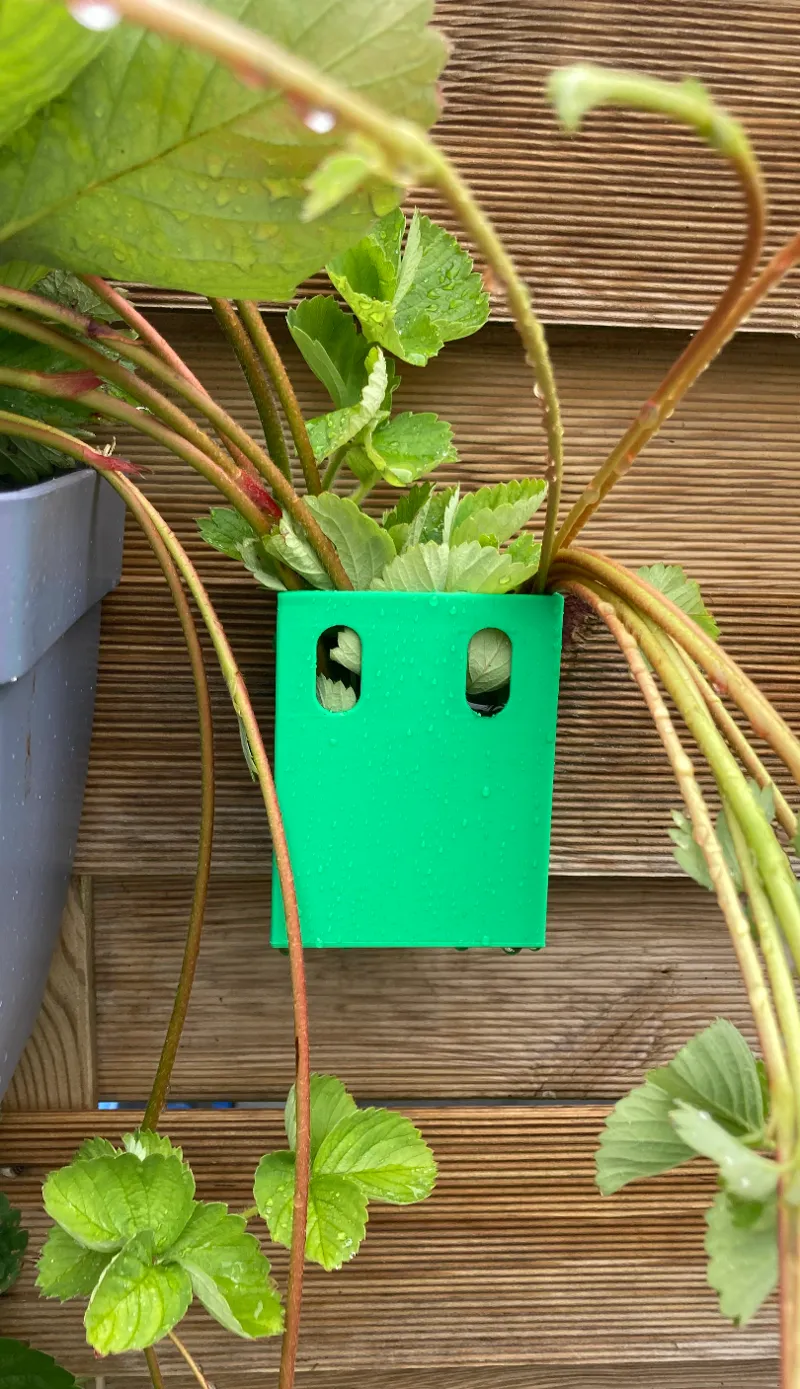 Hanging Rooting Pot for Strawberry Runners