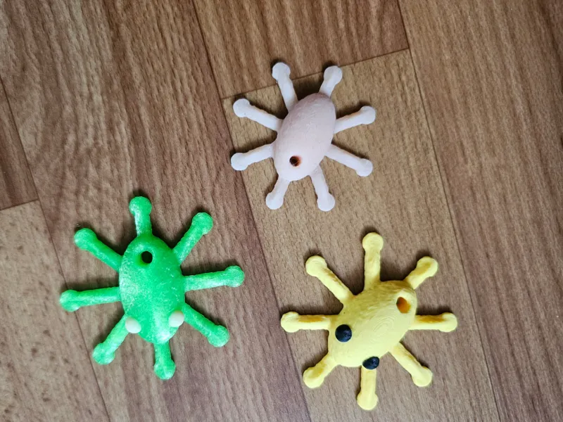 Spider Cat Toy