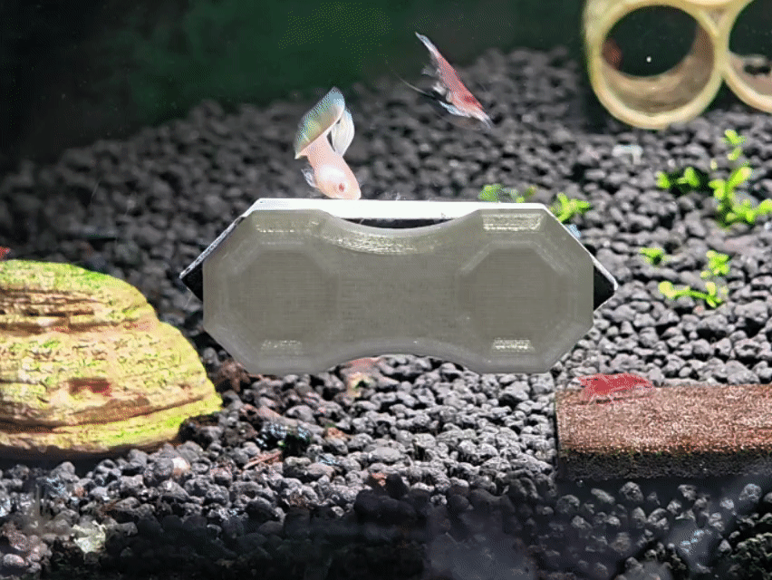Miniatura 1 do modelo 3D Mini鱼缸磁力刷