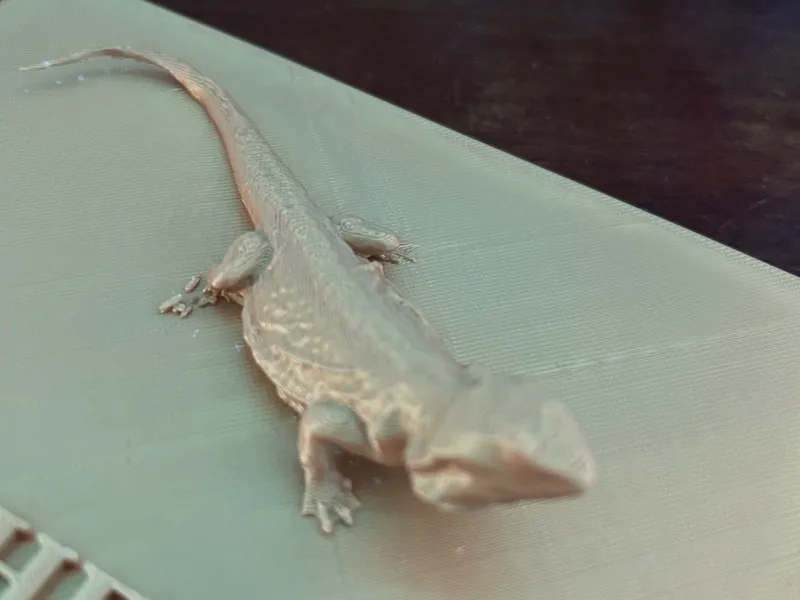 Bearded dragon. 3d scanned.