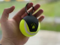 0.16mm layer, 2 walls, 15% infill