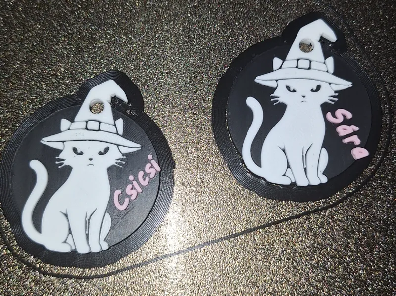 Witchy Kitty Keychain / Bag Tag