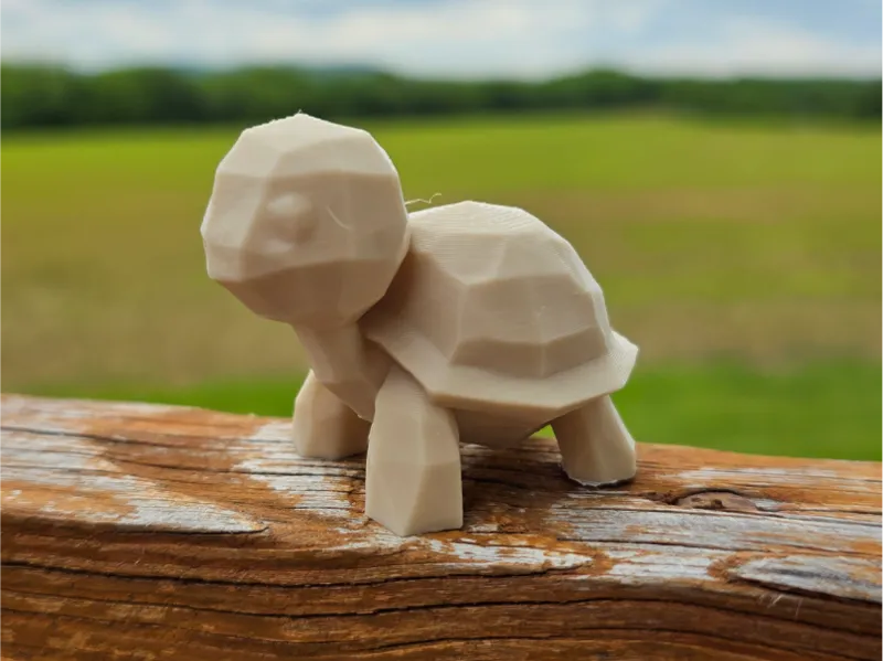 Turtle