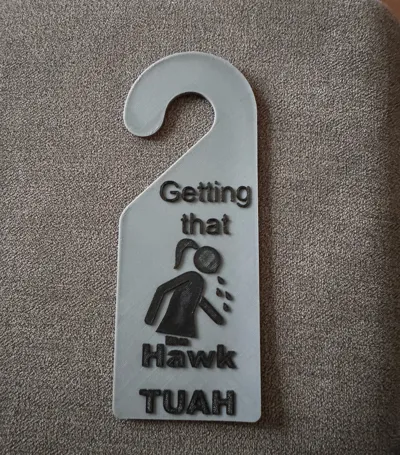 Hawk Tuah do not disturb sign Please do not disturb