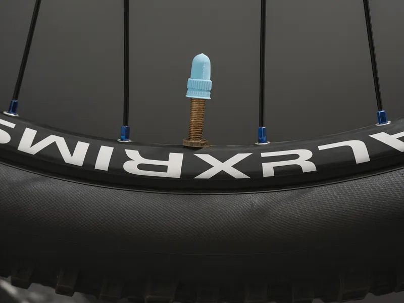 Bicycle Universal Valve Cap