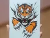 0.08mm layer, 2 walls, 100% infill