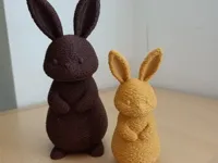 0.2mm layer, 3 walls, 5% infill