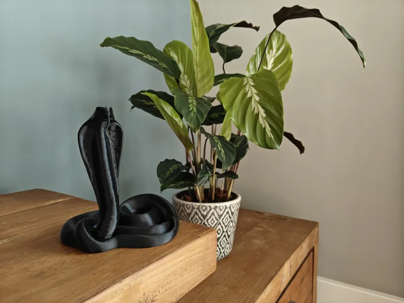 Cobra Snake