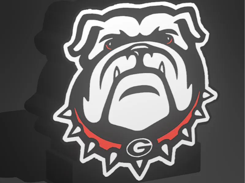 Georgia Bulldogs Football UGA Lightbox