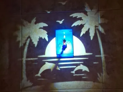 Dolphin light lamp