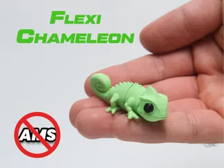 Flexi Chameleon - No AMS