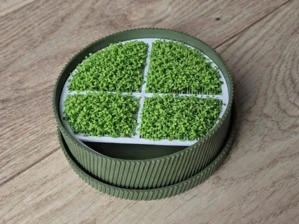https://makerworld.bblmw.com/makerworld/model/USa0c478eb40c772/design/e348e6fcd4f4671c.png