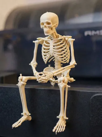 Adorno temático: Skeleton_The Halloween supports challenge — vista de referencia 2
