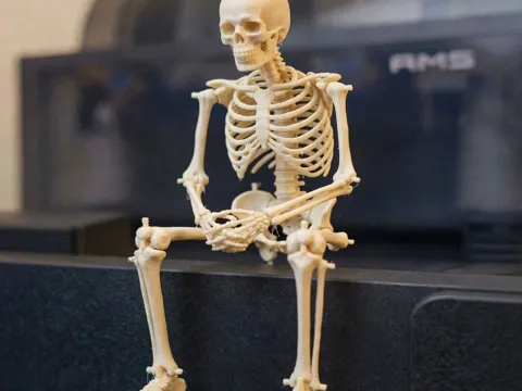 Adorno temático: Skeleton_The Halloween supports challenge — referencia de MakerWorld