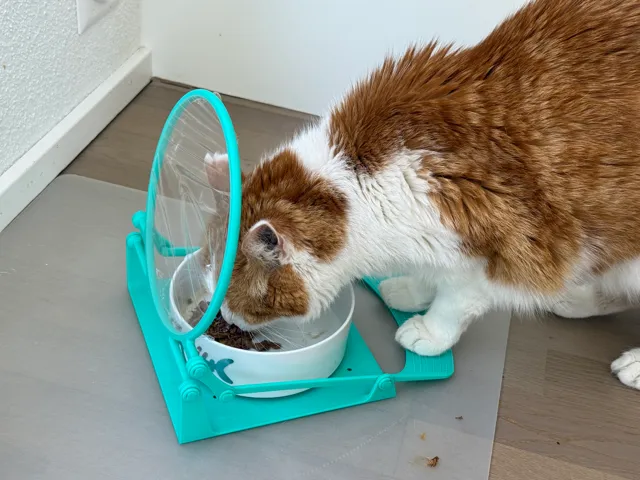 Purrfect PawLock – Paw‑Activated Fresh‑Seal Lid