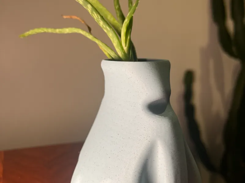 Vase Studio