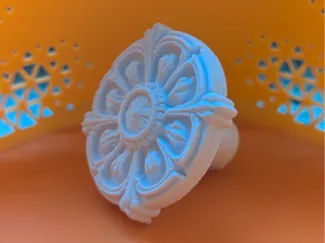 Art Nouveau knob