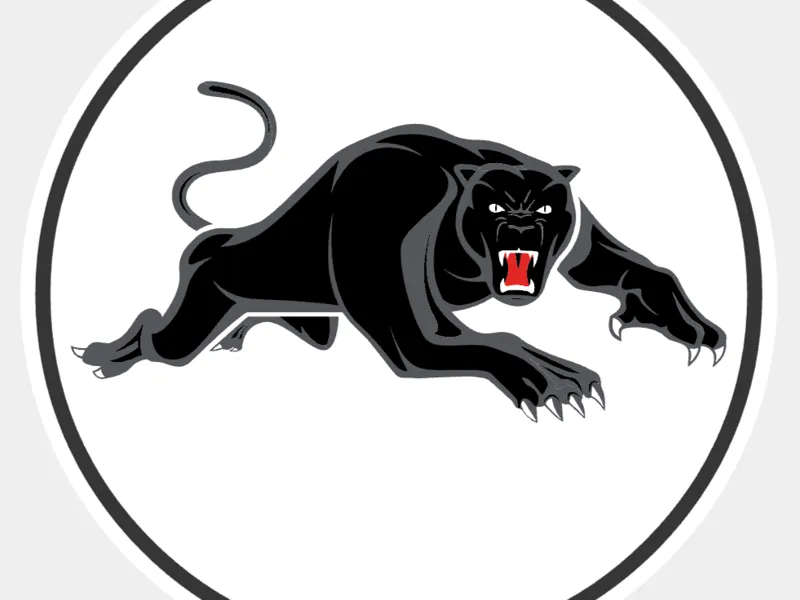 NRL Panthers - set of coasters with holder