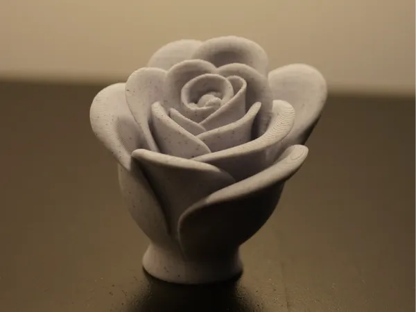 https://makerworld.bblmw.com/makerworld/model/USa0d53c242bcb2c/design/2025-07-10_a79c39be54af18.jpg