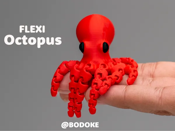 https://makerworld.bblmw.com/makerworld/model/USa0dd49c533ab/design/c2f116eb312e4910.jpg