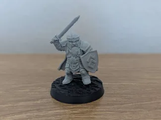 Dwarf Captain - Armoured Shieldbearer