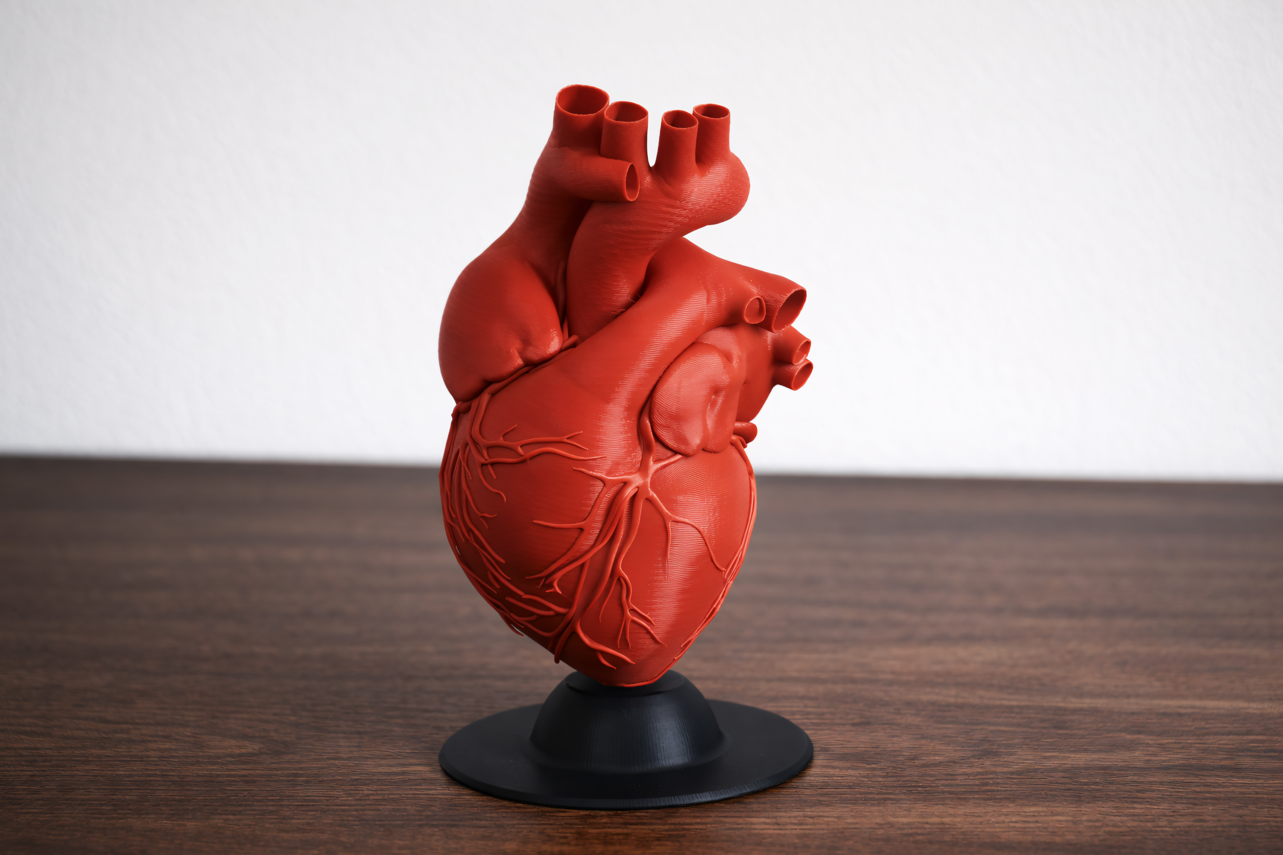 Miniatura 1 do modelo 3D Human Heart Model