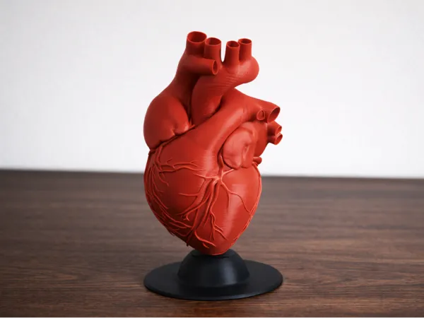 https://makerworld.bblmw.com/makerworld/model/USa0ef00e36555bb/design/df2d4b0e0fc182e3.png
