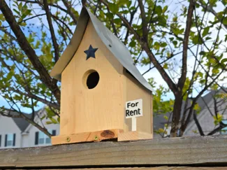 Birdhouse accessory-For Rent
