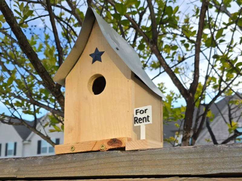 Birdhouse accessory-For Rent